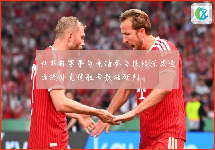 世界杯赛事与竞猜参与技巧深度全面提升竞猜胜率数据研判