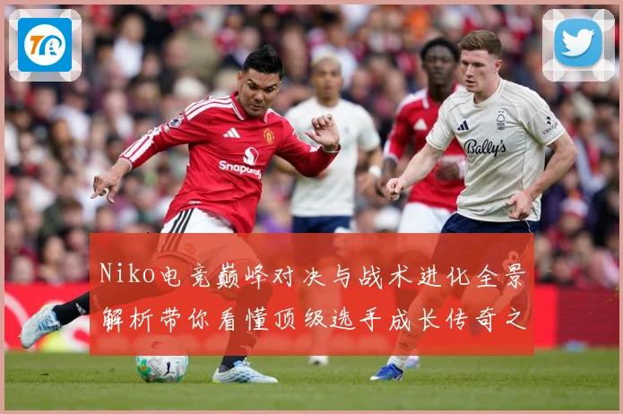 Niko电竞巅峰对决与战术进化全景解析带你看懂顶级选手成长传奇之路