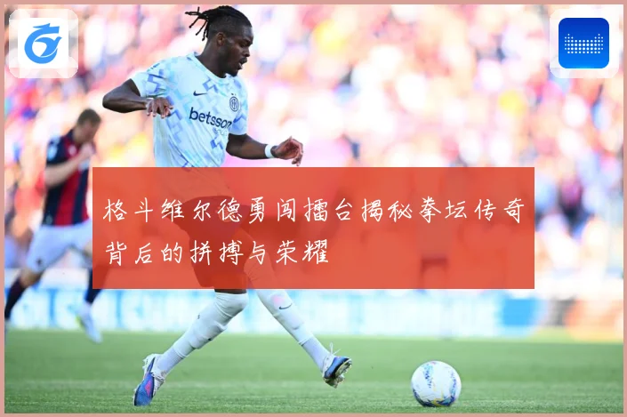 格斗维尔德勇闯擂台揭秘拳坛传奇背后的拼搏与荣耀