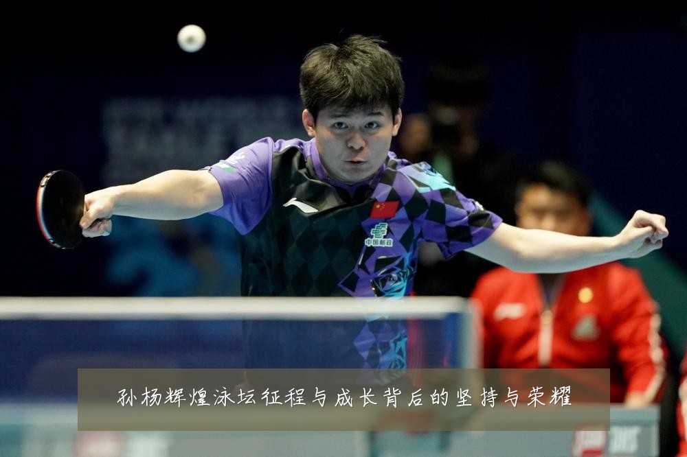 孙杨辉煌泳坛征程与成长背后的坚持与荣耀