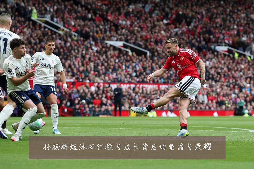 孙杨辉煌泳坛征程与成长背后的坚持与荣耀
